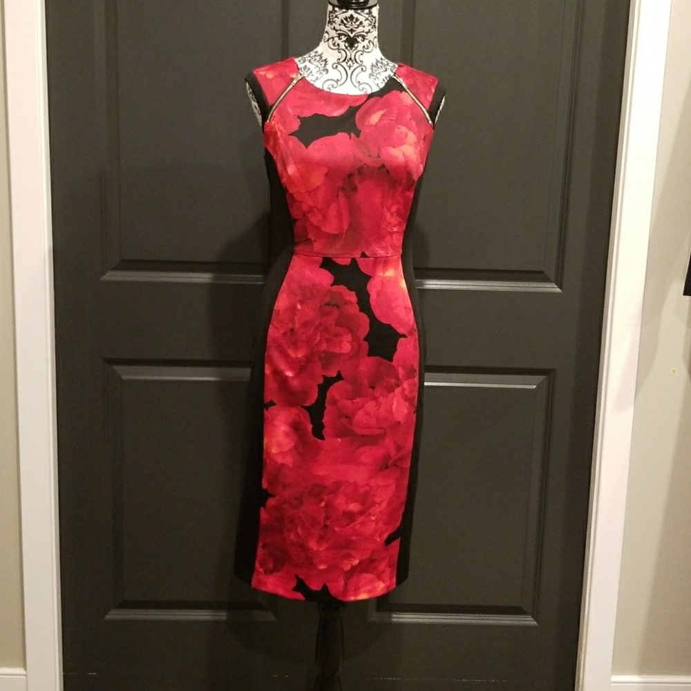 Ladies Fitted Dress